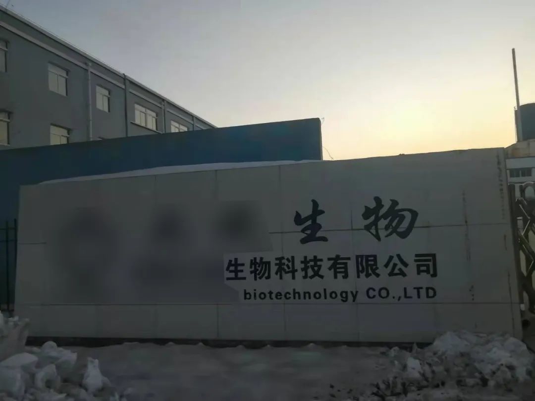 皮革厂蒸汽锅炉